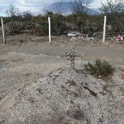 IMG 0001 2 (195)